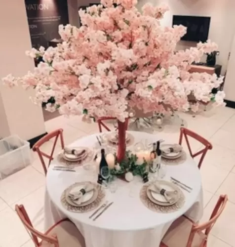 Cherry Blossom Tree